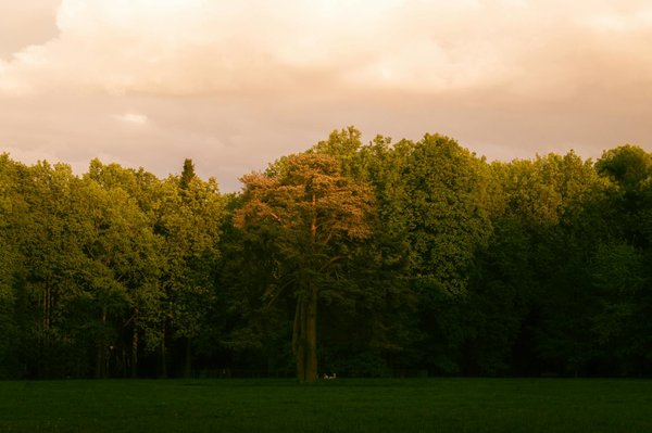 Apaiser une irritation vulvaire : top soins bio à essayer