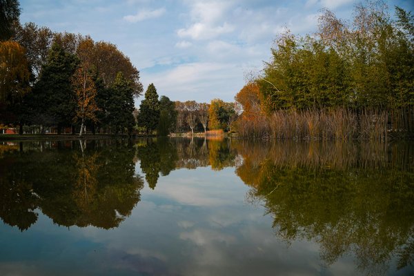 Comment choisir un cbd de qualité à acheter : guide pratique et conseils